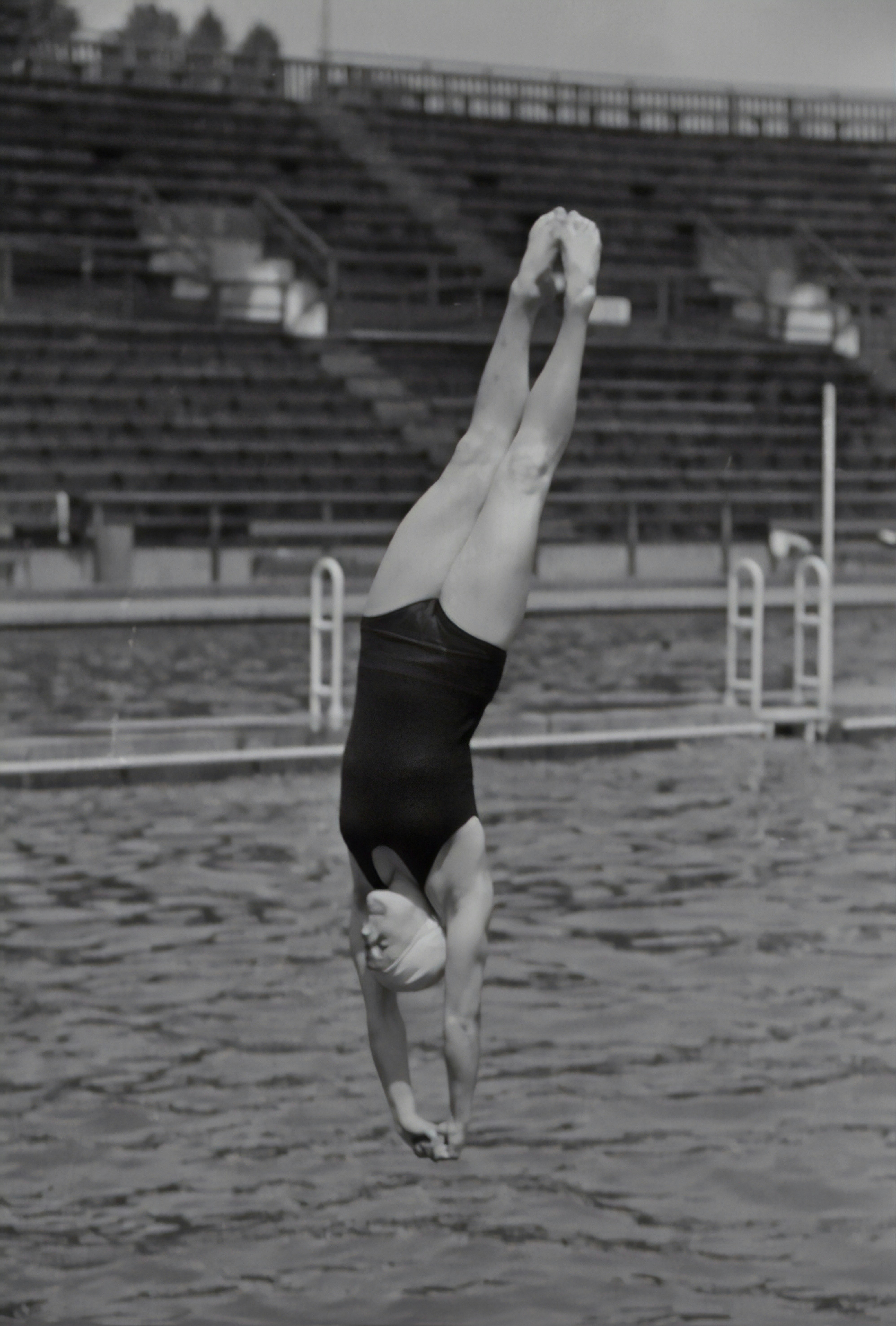 diving bathing suits